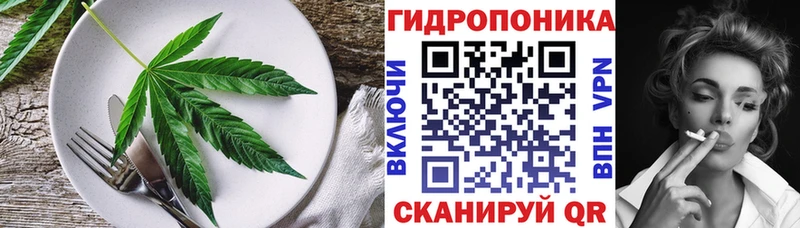 что такое Питкяранта Canna-Cookies марихуана