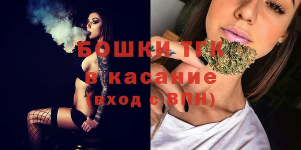 шишки Алексеевка