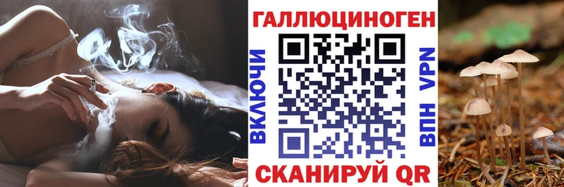 Псилоцибиновые грибы ЛСД  Питкяранта 